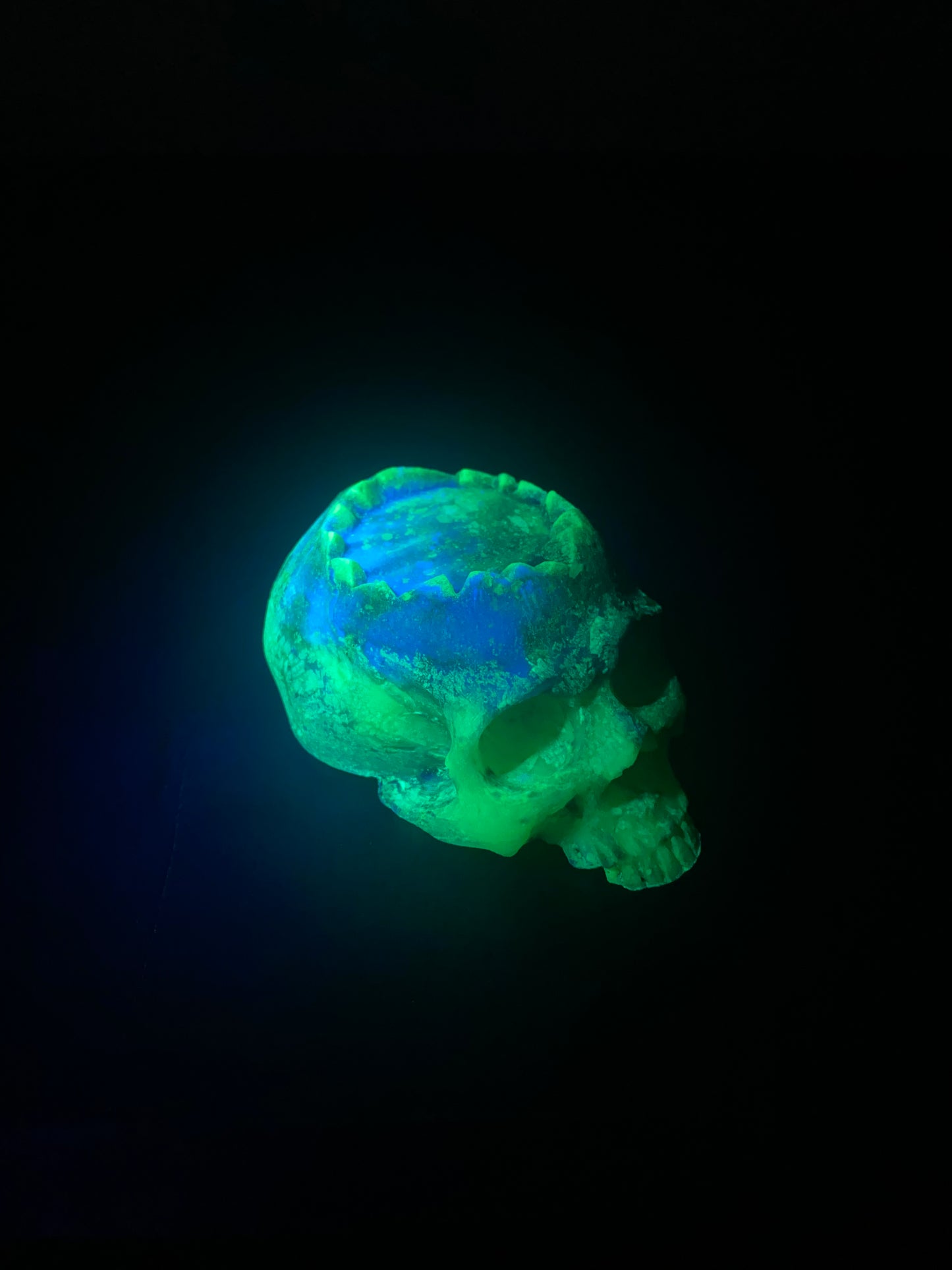 Zombie Skull Blacklight Glow in the Dark Ring or Candle Holder