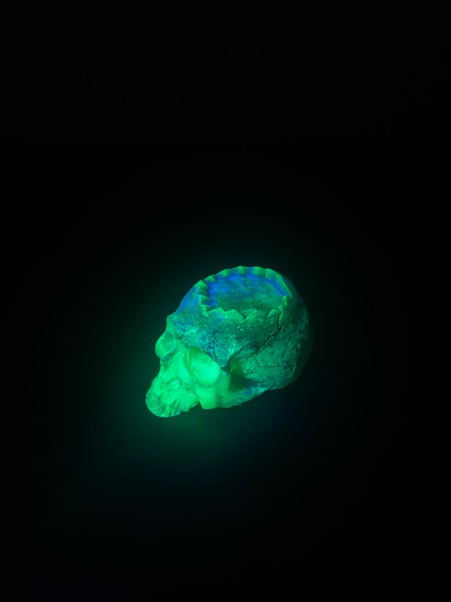 Zombie Skull Blacklight Glow in the Dark Ring or Candle Holder