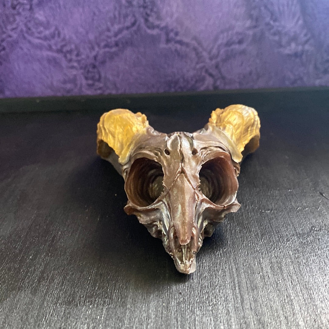 Cacao Demon Skull Head Wall Hanging Decor