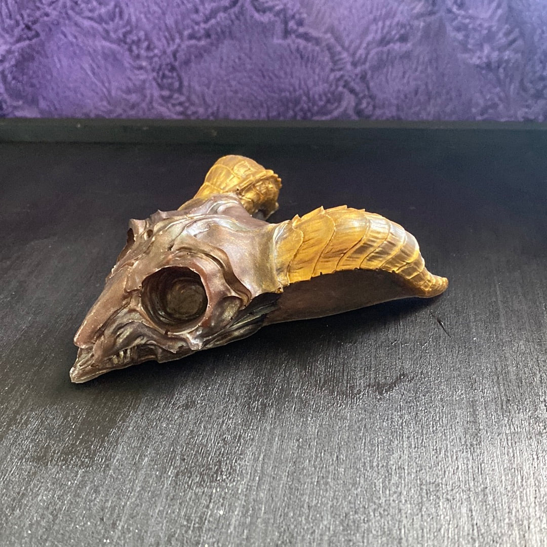 Cacao Demon Skull Head Wall Hanging Decor